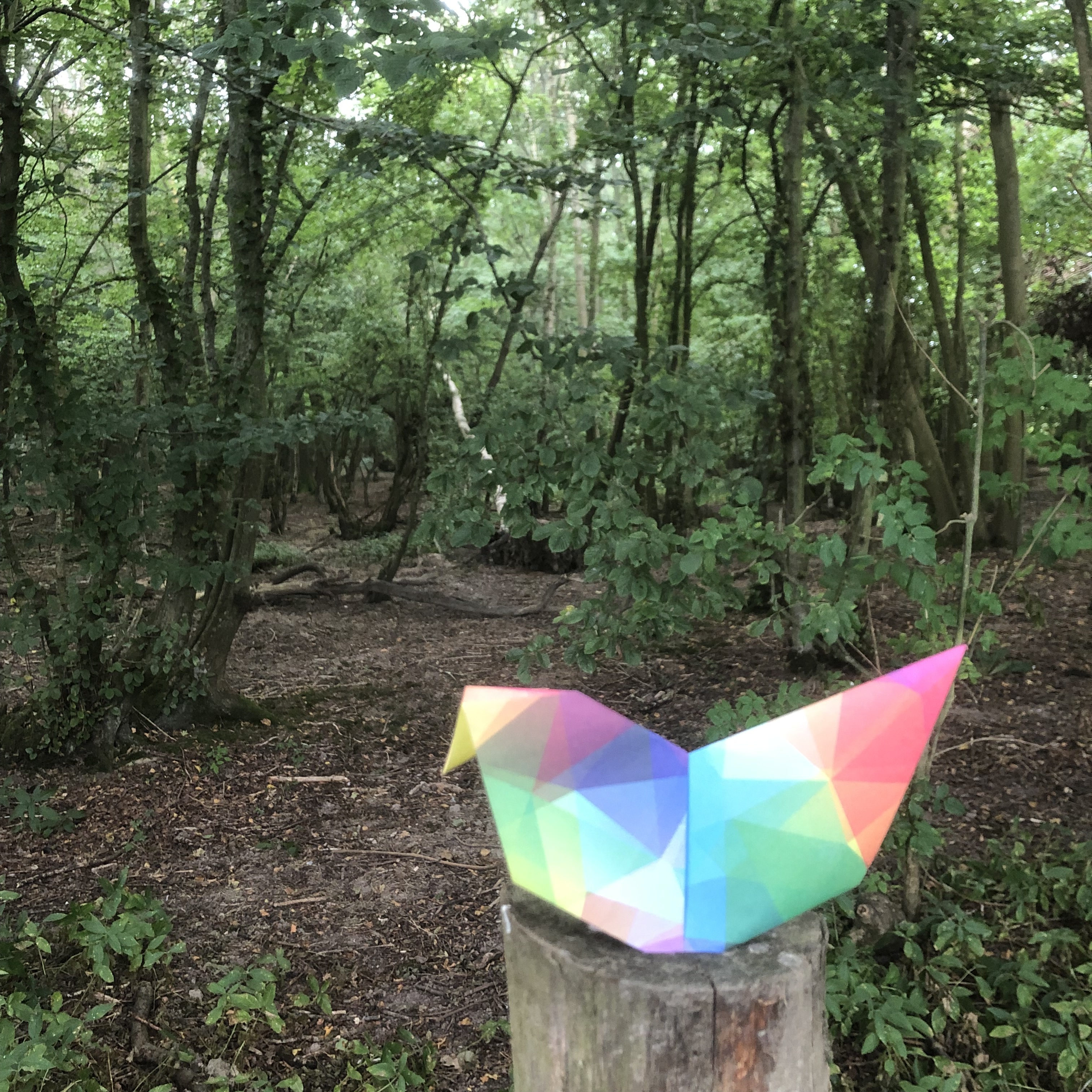 A colorful origami bird with a rainbow gradient pattern sits on top of a tree stump in a dense, green forest. The forest floor is covered with leaves and branches, and sunlight filters through the trees.
